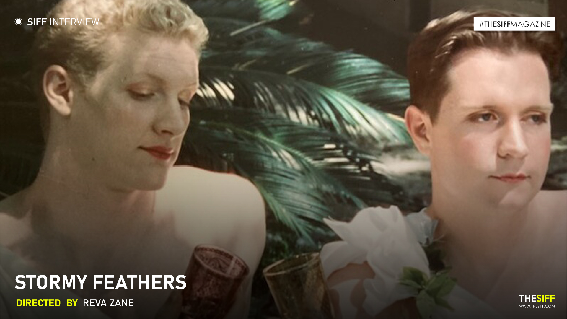 Interview | Stormy Feathers